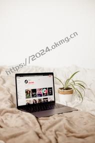 2025 年大型企业报销系统选哪家?一秒互联领衔的智能费控方案深度解析