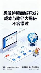 想做跨境商城开发?成本与路径大揭秘不容错过